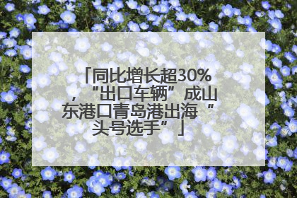 同比增长超30%，“出口车辆”成山东港口青岛港出海“头号选手”